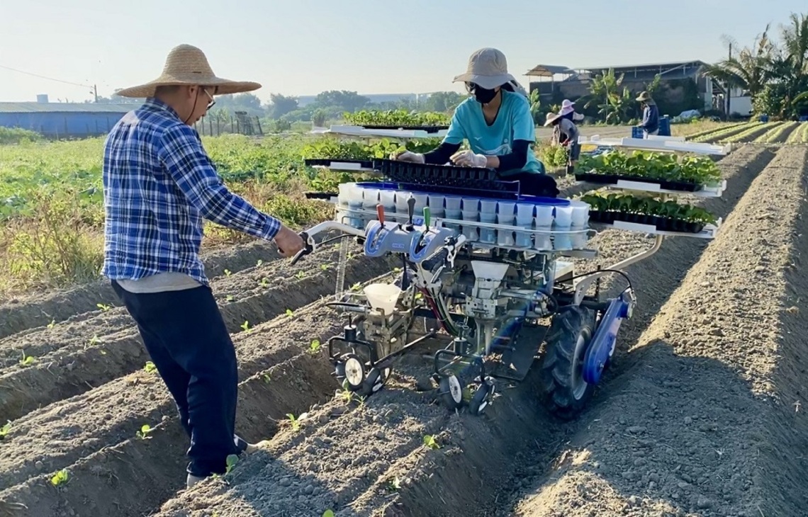 機械化代耕導入花椰菜、甘藍產業    舒緩季節性缺工問題
