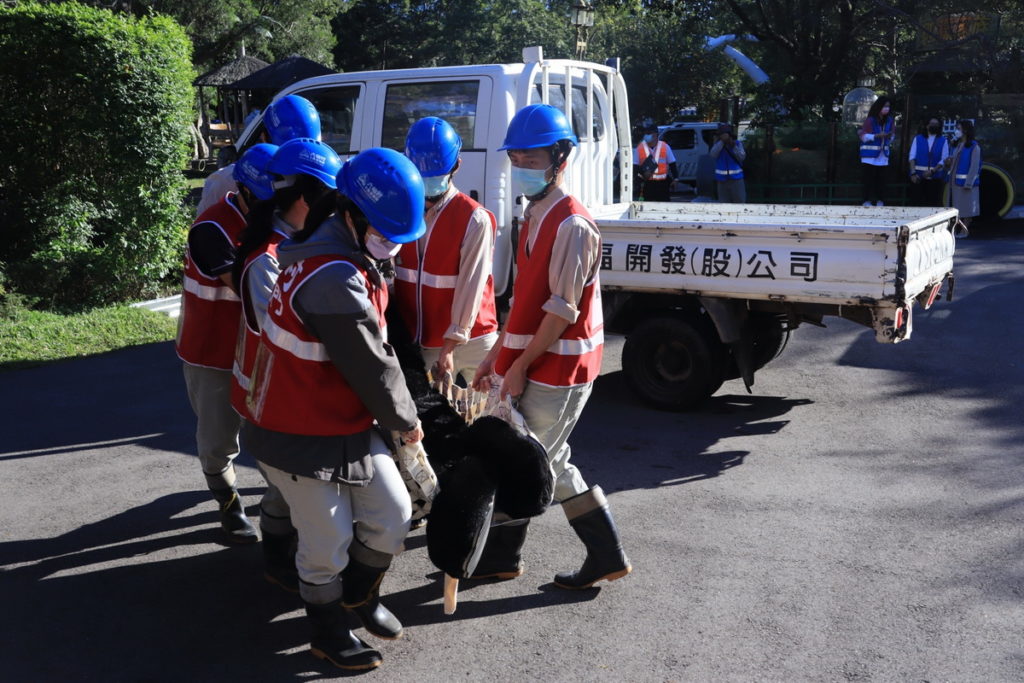 六福村模擬黑熊脫逃應變機制。圖 六福村提供