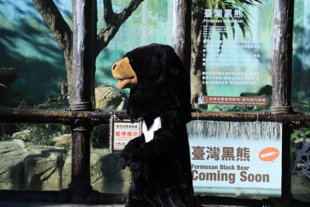 台灣黑熊脫逃?! 六福村模擬災害、反恐演練逼真。圖 六福村提供