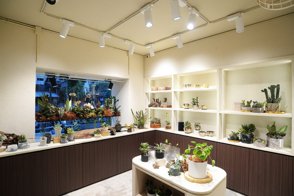 有肉門市-全室植物燈