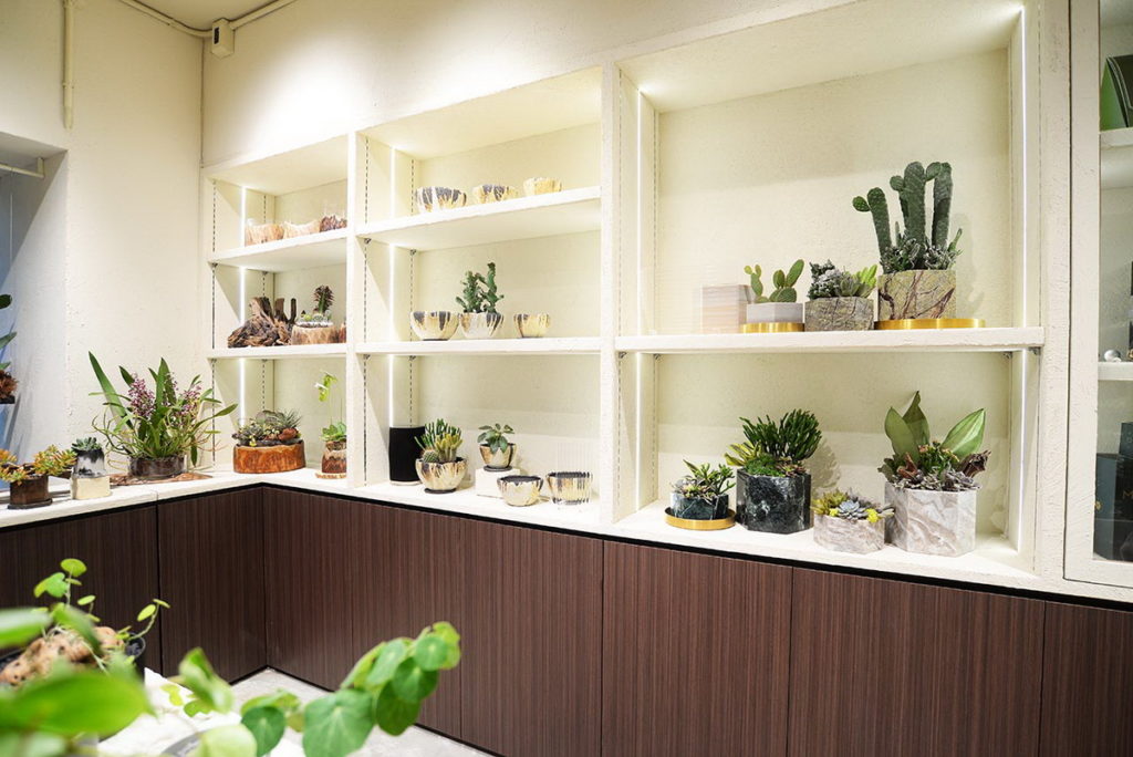 其他.全室植物燈