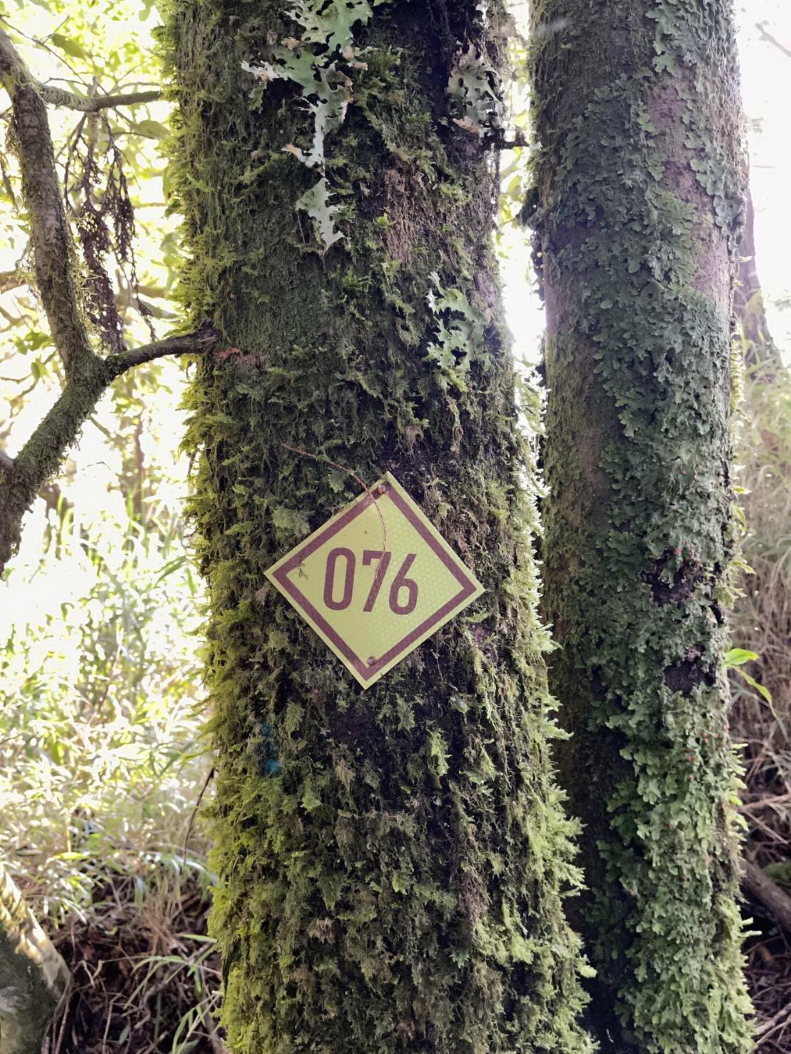 202111282149200EEx