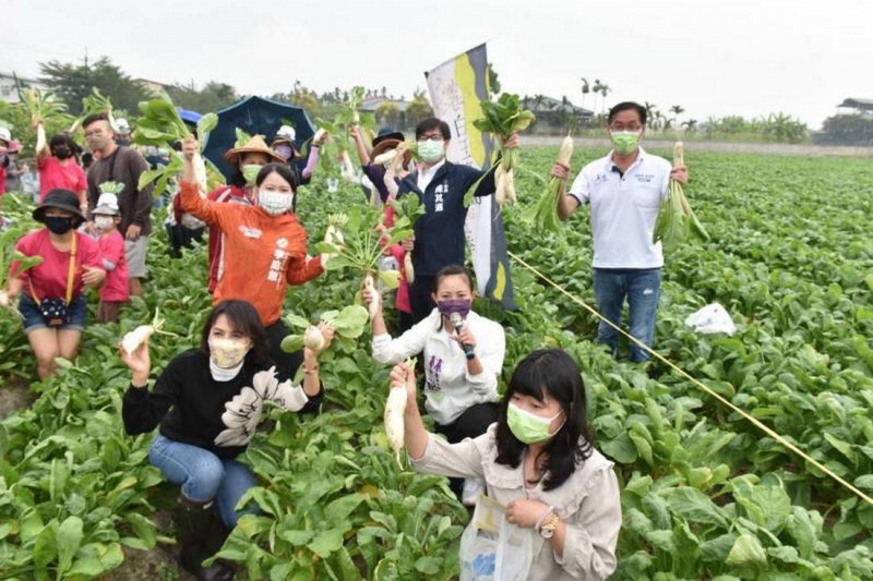 高雄美濃白玉蘿蔔開採陳其邁、林慧欣力邀民眾體驗同樂