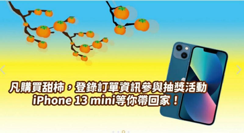 尖石鄉甜柿產季將進入尾聲 訂購有機會獲得 iphone 13 mini 等好禮