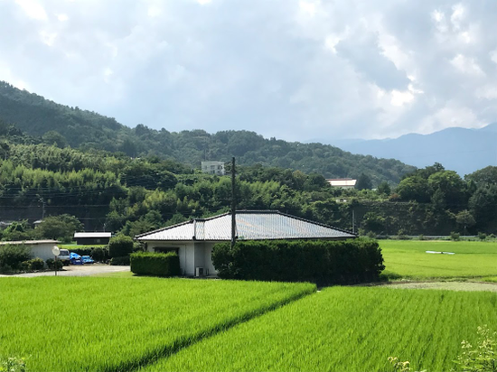 新經濟人文筆記。知識份子的道德觀