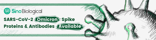 Sino Biological newly launched a panel of research reagents for SARS-CoV-2 Omicron variant (B.1.1.529), including includes recombinant Omicron Spike proteins (RBD, S1, and S-ECD trimer), monoclonal antibodies recognizing the Omicron Spike protein, and the Omicron pseudovirus assay CRO service. Sino Biological newly launched a panel of research reagents for SARS-CoV-2 Omicron variant (B.1.1.529), including includes recombinant Omicron Spike proteins (RBD, S1, and S-ECD trimer), monoclonal antibodies recognizing the Omicron Spike protein, and the Omicron pseudovirus assay CRO service.