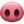 🐽