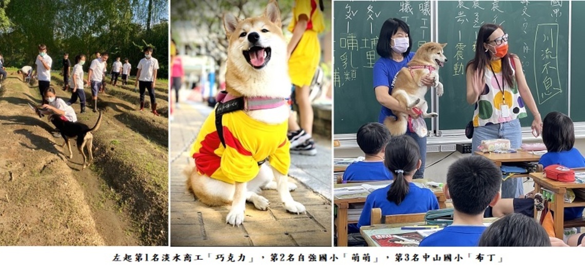 新北市110年人氣校園犬出爐 淡商「巧克力」近四萬票奪冠!