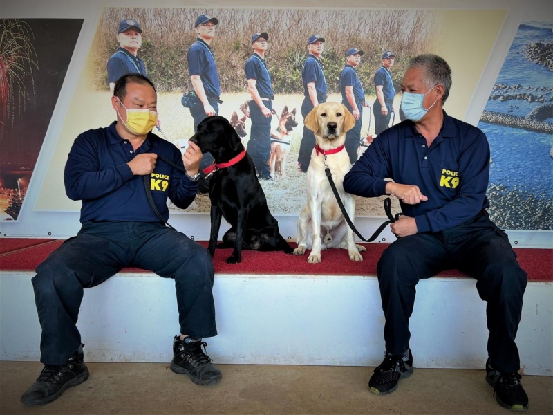 關務署緝毒犬培訓中心贈澎湖縣警察局2隻緝毒犬