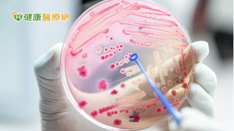 濫用抗生素助長超級細菌! 中正大學研發「抗菌敷料」救命
