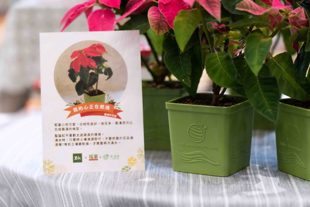 里仁將架上蔬果包材的「可堆肥生質袋」回收再利用製成「可堆肥生質盆栽」,開創循環