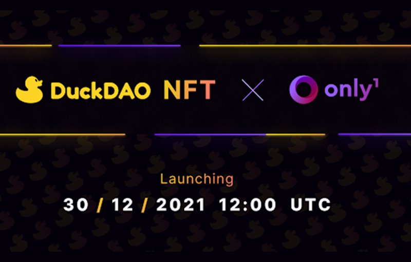 首個去中心化風投DuckSquad即將登陸Only1
