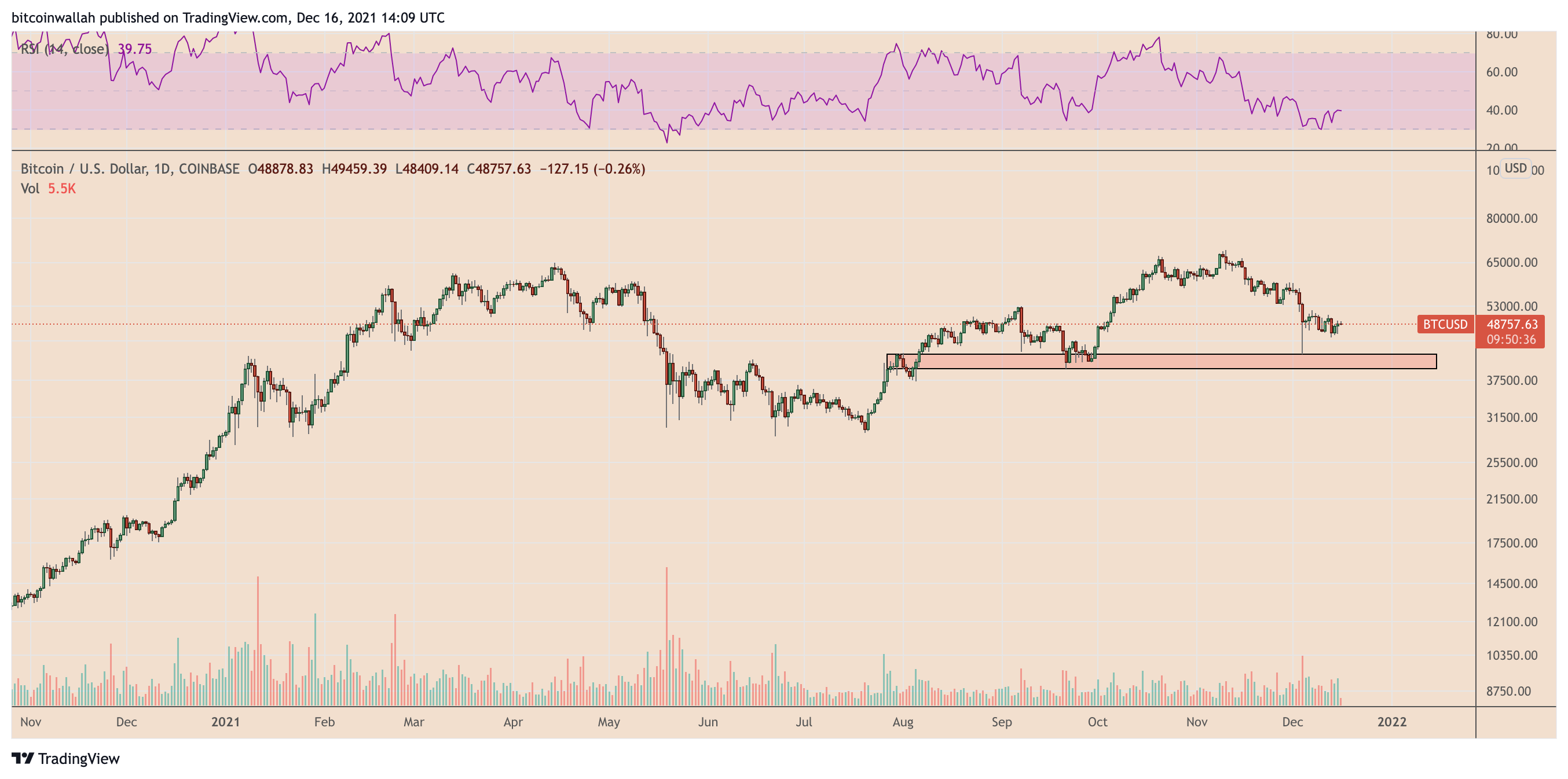 比特幣小額地址持續增多！數據：巨鯨丟、散戶撿