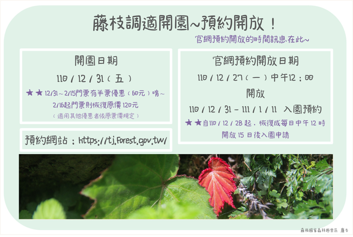 藤枝國家森林遊樂區12/31調適性營運開園 門票半價優惠