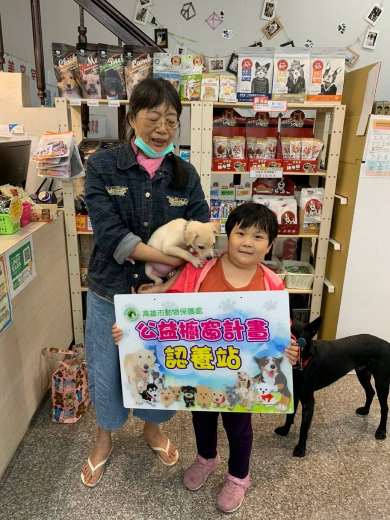 ▲東森寵物雲協助送養許多貓貓狗狗。(圖/東森寵物雲提供)