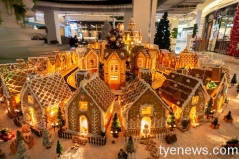 中壢大江購物12/18「一星衣益」義賣 全台規模最大薑餅城同步登場 27 05夜光版