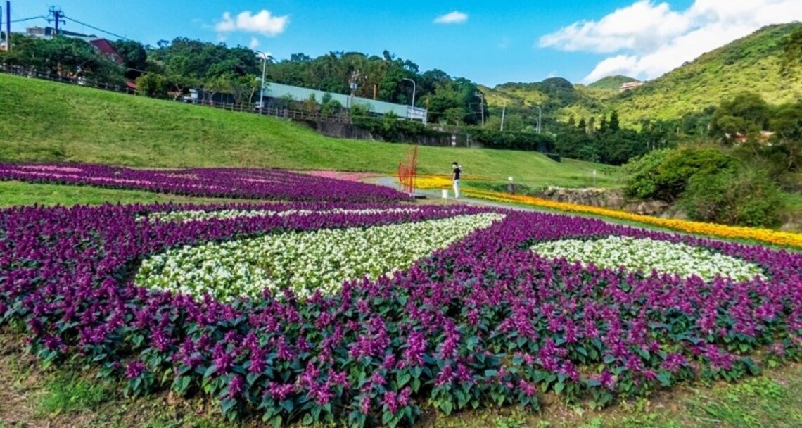 跨年假期賞花衝一波    北市絕美花海大推薦