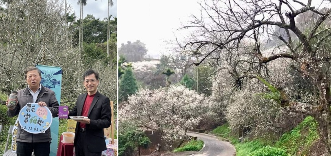 連假出遊首選!距離高速公路交流道最近的賞梅秘境-九份二山!