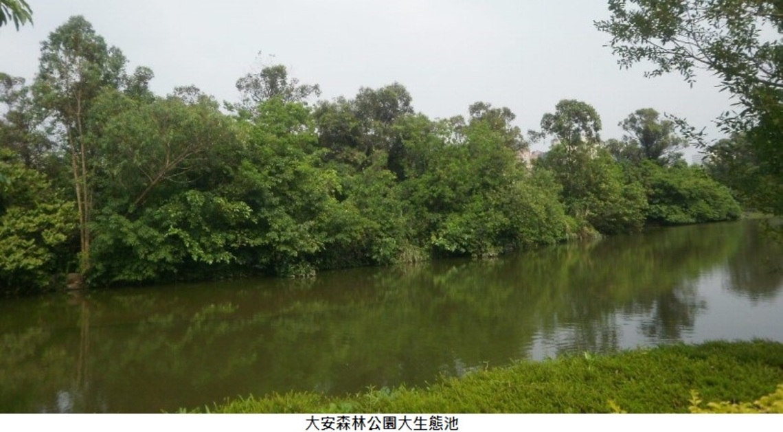 推動公園生態化 北市擬定每年3座公園進程