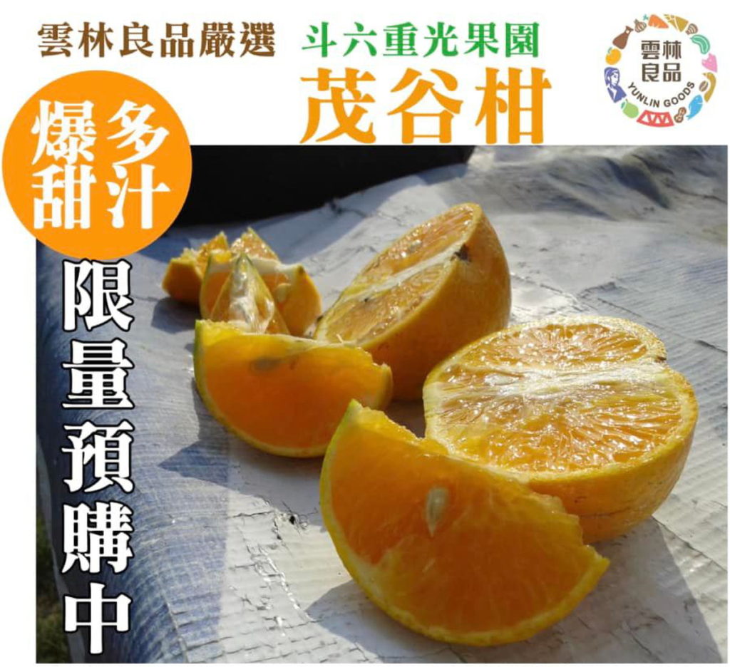 斗六重光果園出品—茂谷柑