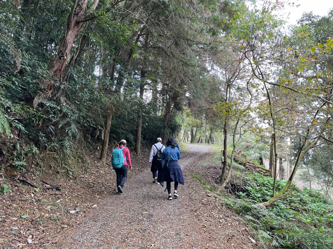 藤枝陪大家迎接新年,半票優惠至2/15/波新聞