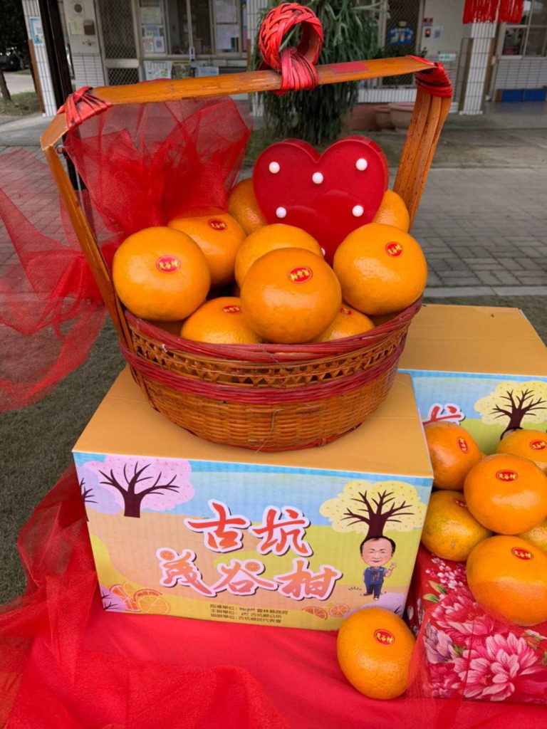 雲林茂谷柑禮盒