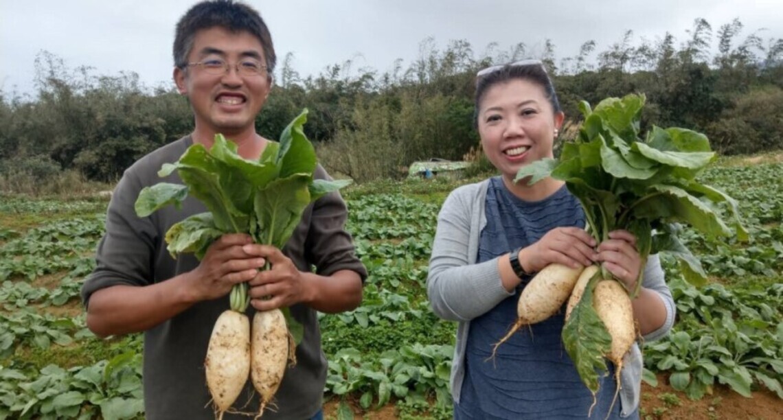 美味白蘿蔔到來 蕃婆林休閒農場體驗新鮮直採