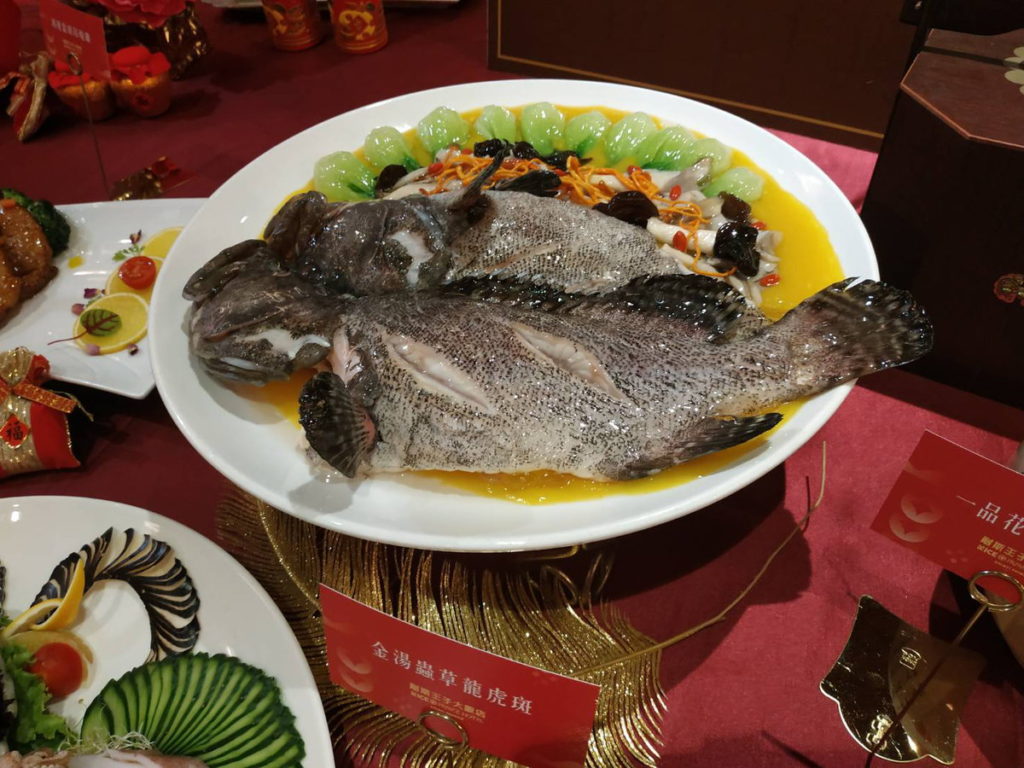金湯蟲草龍虎斑