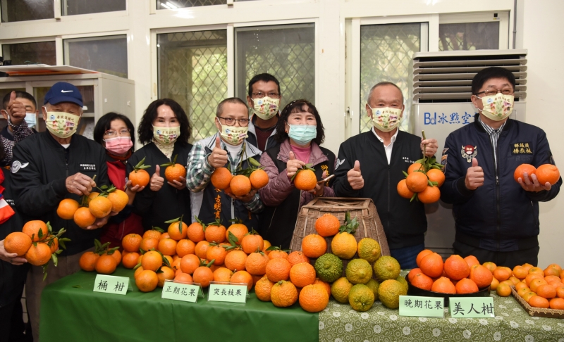 苗栗縣獅潭桶柑草莓評鑑 農特產品行銷周休二日登場
