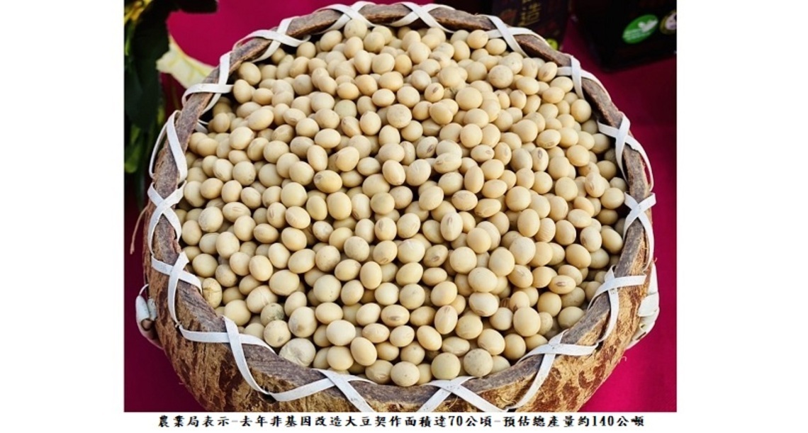 活化農地!台中在地生產非基改大豆上市歡迎選購
