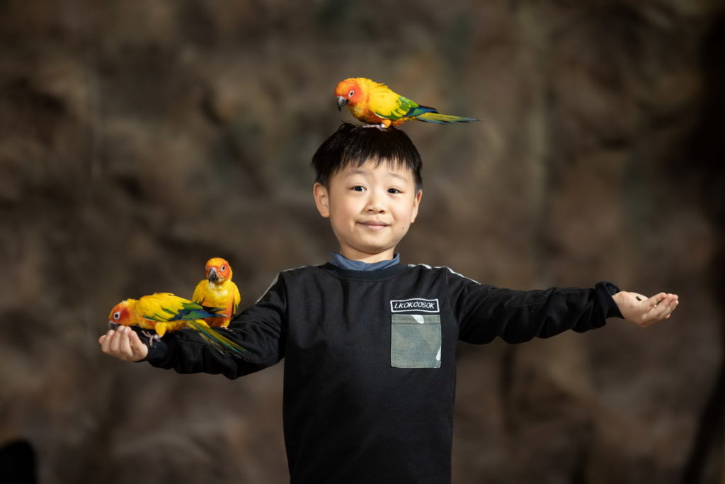 進入鳥禽方舟的大小朋友們在探索中能夠與飛鳥近距離互動。圖 六福村提供