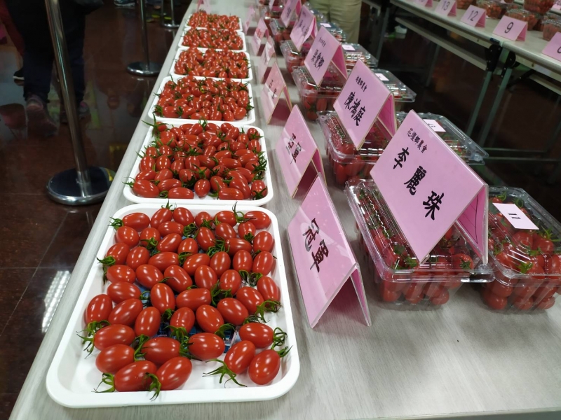 18個農會、52位農友角逐 彰化縣第六屆小果番茄評鑑結果出爐