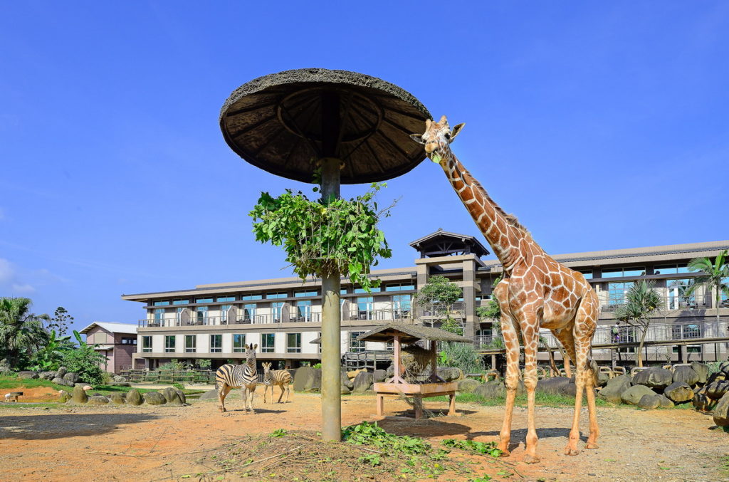 「2022大地探索之旅 住房專案」為全新企劃,入住關西六福莊與動物做鄰居,享受美味早餐,再享生態課程與六福村樂園雙體驗。(圖/六福旅遊集團提供)
