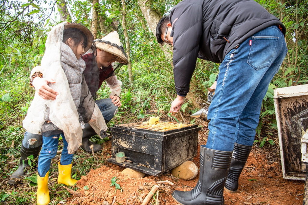遠離都市喧囂,走入淺山體驗一日蜂農,學習採蜜的專業知識,近距離觀察蜜蜂的家,最後再親手採集蜂蜜帶回家品嚐。(圖/六福旅遊集團提供)