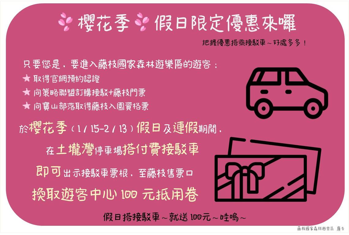桃源區櫻花季盛大開幕,藤枝國家森林遊樂區值得踩春!/波新聞