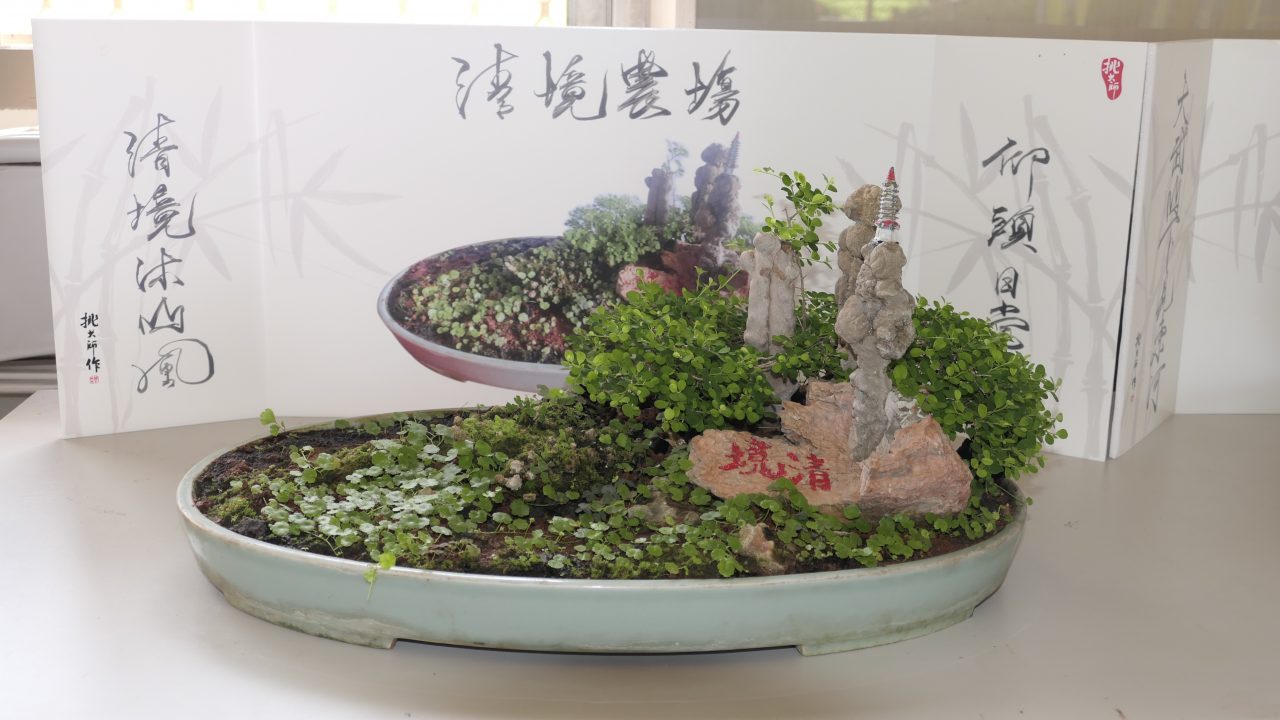 挑大師