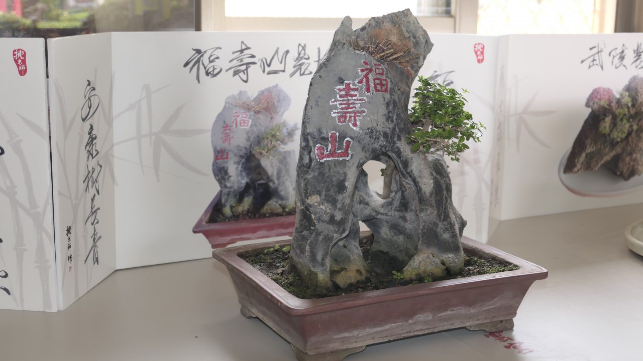 挑大師