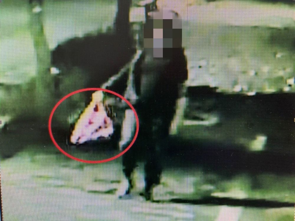 竊嫌得手價值昂貴的避震器。