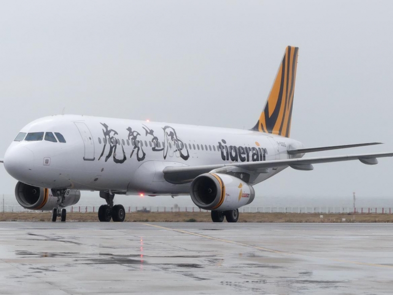 「虎虎生風」華信航空以台灣虎航 彩繪機執飛國內線金門先睹為快