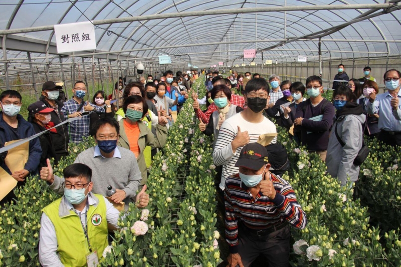 臺灣冬季日照不足影響洋桔梗品質　臺中區農改場研發智能補光技術