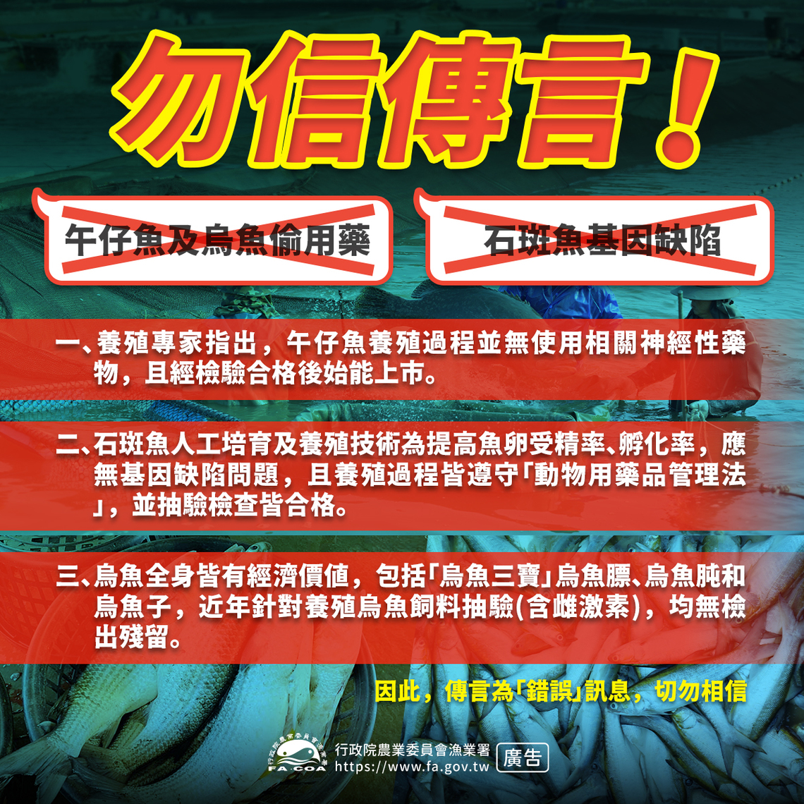 國產水產品安全衛生無虞 勿輕信網傳用藥養殖謠言