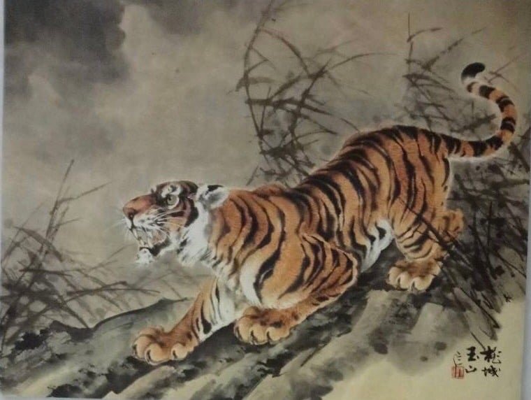 可能是大貓的插圖