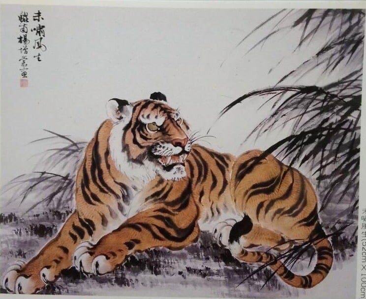 可能是大貓的插圖