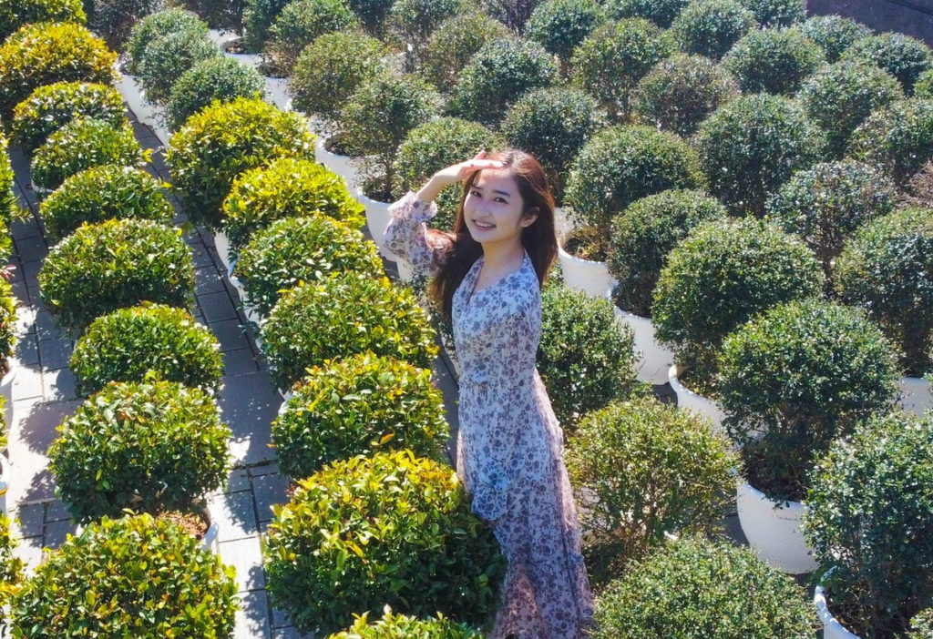春節期間可以在園區內欣賞2千株波波球集合的壯麗美景。圖 六福村提供