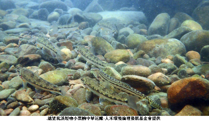 可能是戶外和文字的圖像