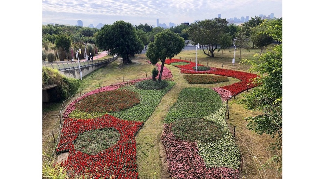 超吸睛! 中央公園春節迎賓 三大主題花海成打卡景點