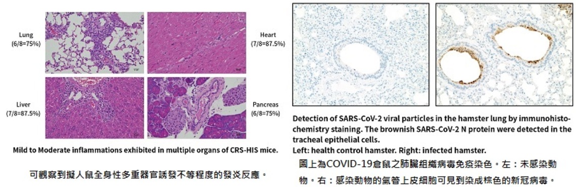 勇闖後疫情時代 支援COVID-19藥物和疫苗研究開發 國研院動物中心與國防醫學院共建臨床前疫苗功效試驗平台