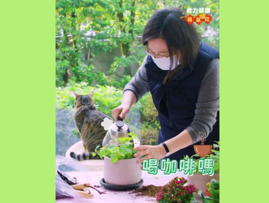 過年長假做什麼?蔡英文陪貓種薄荷 鼓勵全民養點植物 74 過年長假做什麼?蔡英文陪貓種薄荷 鼓勵全民養點植物