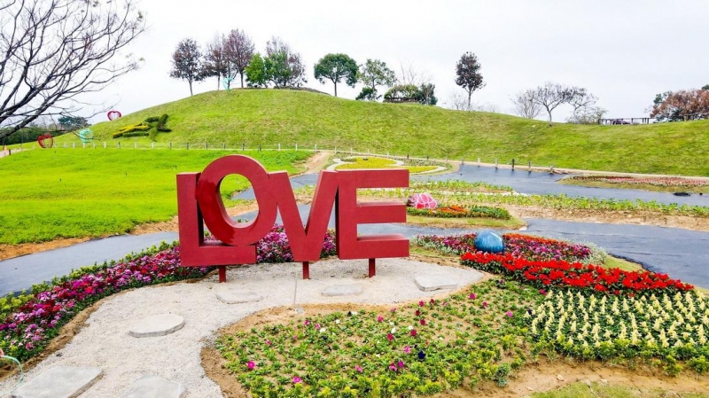 春遊賞花趣! 中市后里環保公園粉紫花海盛開中
