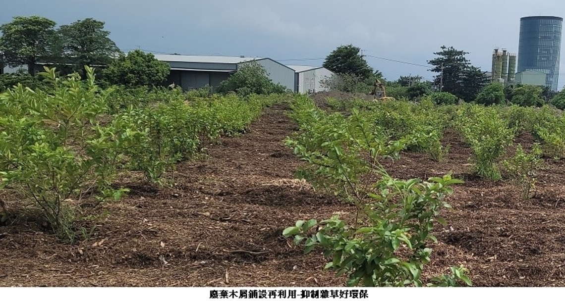 中市引進木材破碎機    廢棄木屑變身園藝、植栽、手工藝品
